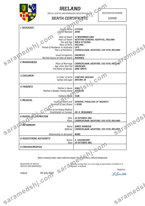 Ireland vital record death certificate Word and PDF template